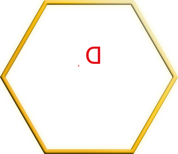 Allestimenti