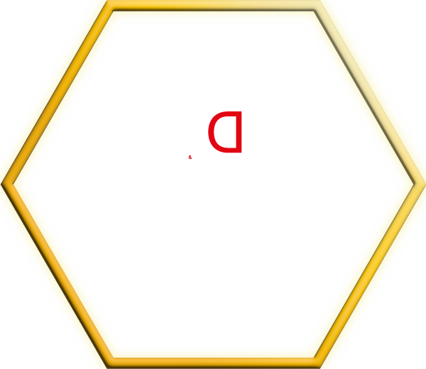 Service AVL