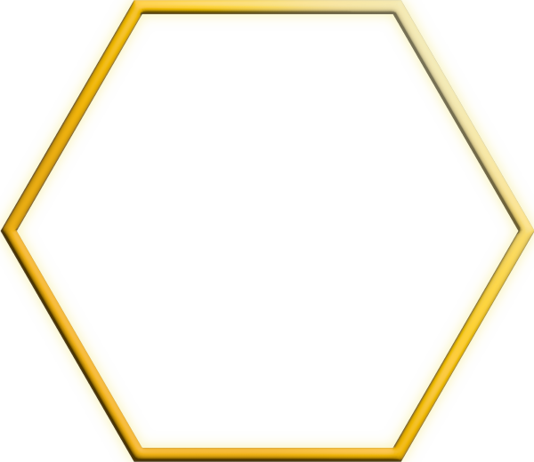 Service AVL